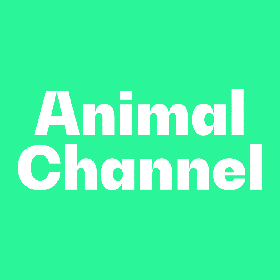 Animal Channel - TripleLift