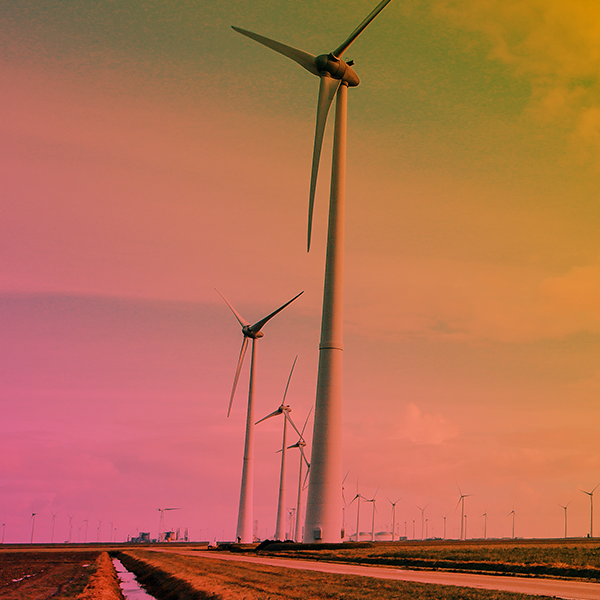 Green Package TripleLift